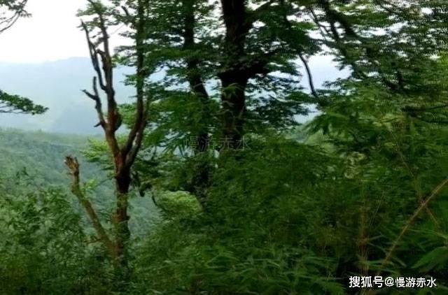 风色幻想6